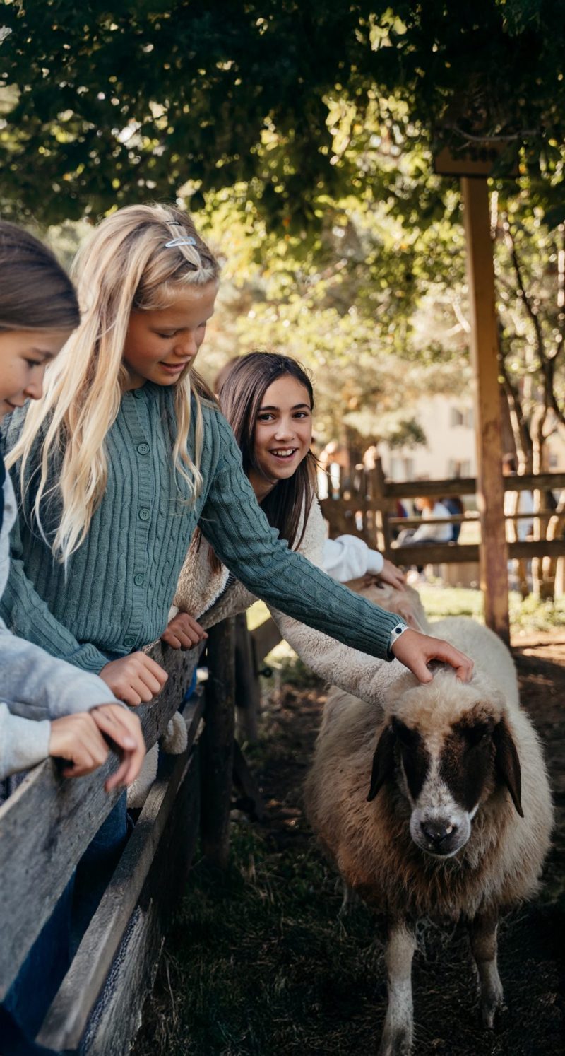 Schülerinnen mit einem Schaf im Tierprojekt, Bischof-Ulrich-Realschule Augsburg